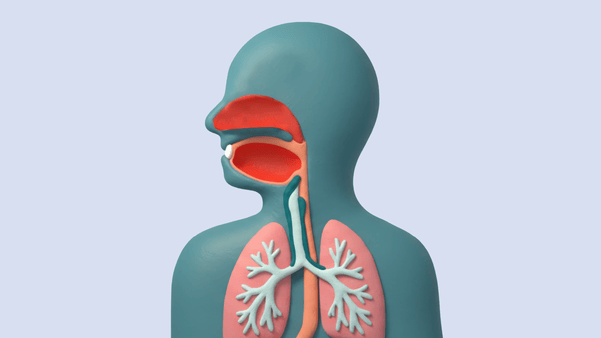 Illustration of human body showing mouth, lungs, and esophogus